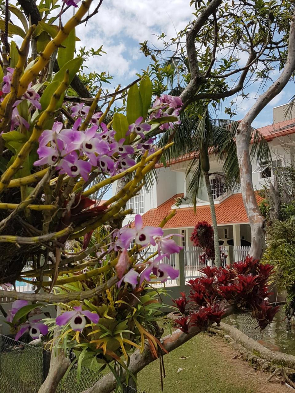 Pousada Pavao Branco Florianopolis Exterior photo